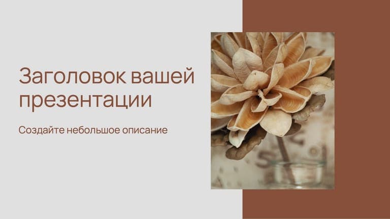 Терракотовая Презентация: Коммерческое Предложение с Фото