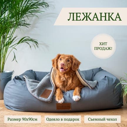Карточка Товара: Лежанка для Собак на Фоновой Фото